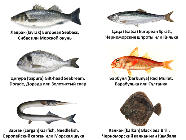 Рыба обитающая в черном море названия