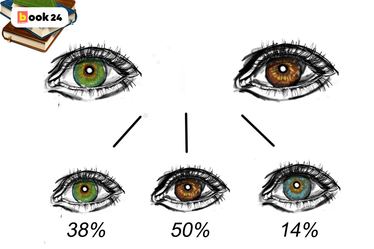 Какие шансы цветов глаз. Схема цвета глаз. Схема цвета глаз родителей и детей. Доминантный цвет глаз. Наследование цвета глаз.