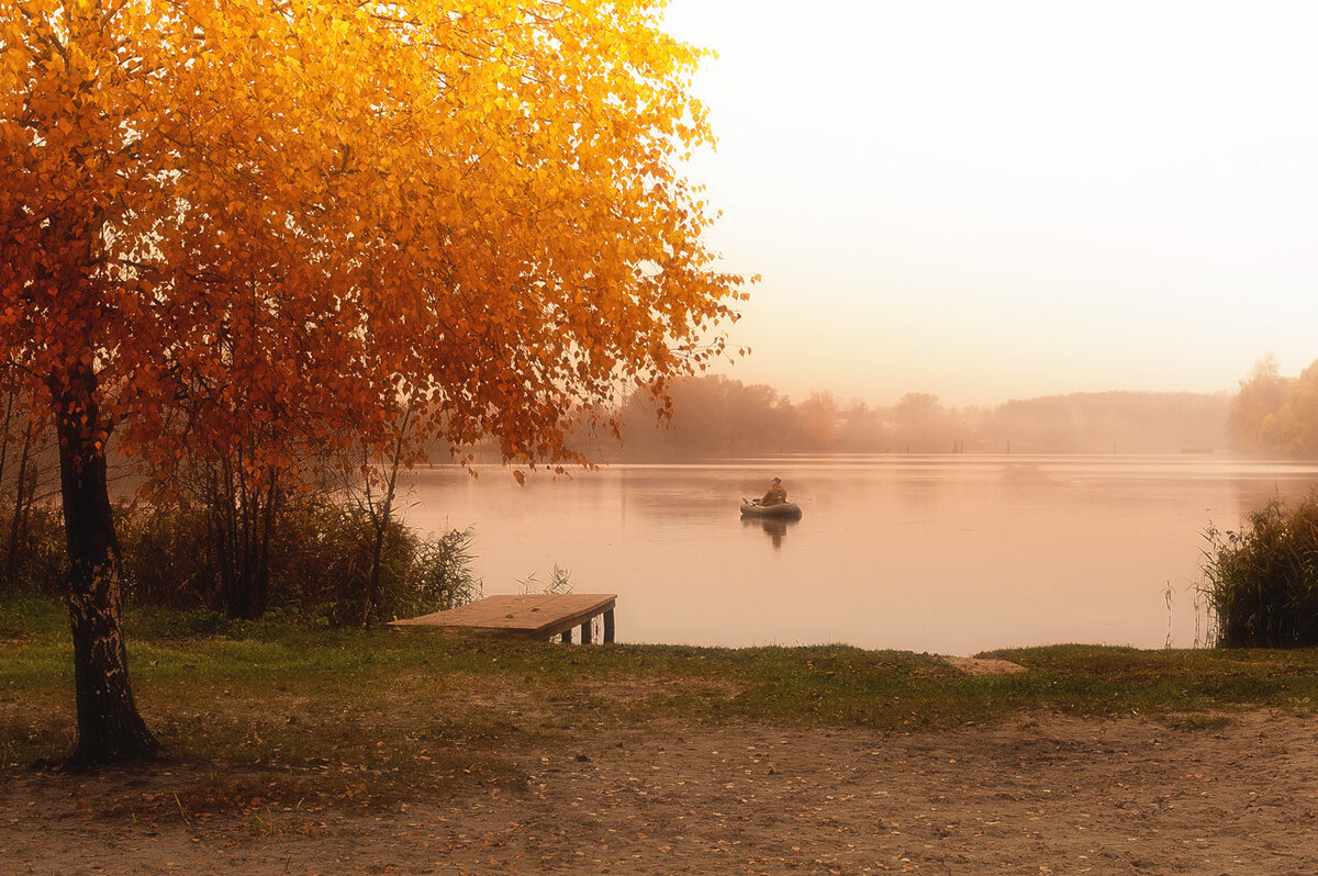 утро конец сентября. осень конец сентября. сентябрь в лесу. осень сентябрь. утро в селе осенью.