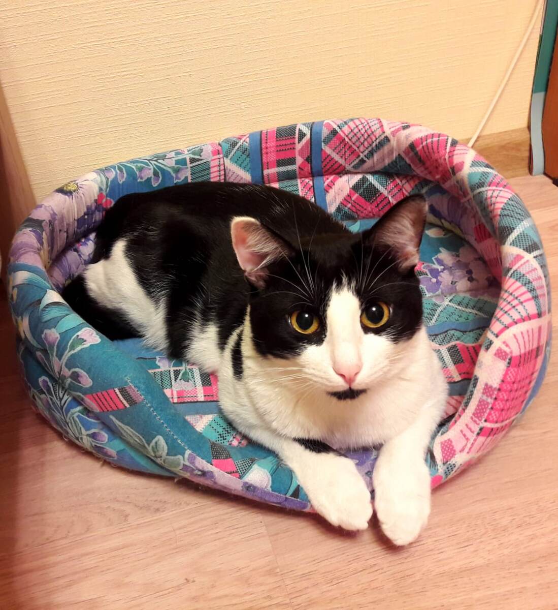 Здравствуйте!