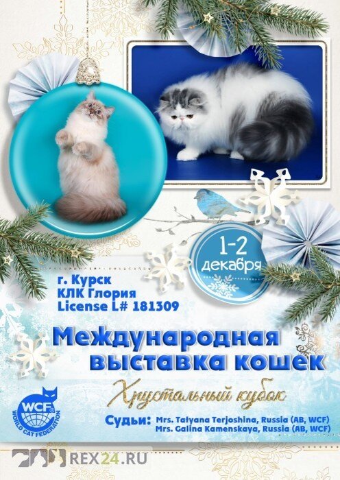 Выставка кошек Курск. Выставка кошек в МЕГАГРИННЕ. Федерация кошек Курск МЕГАГРИНН. Выставка кошек Гринн.