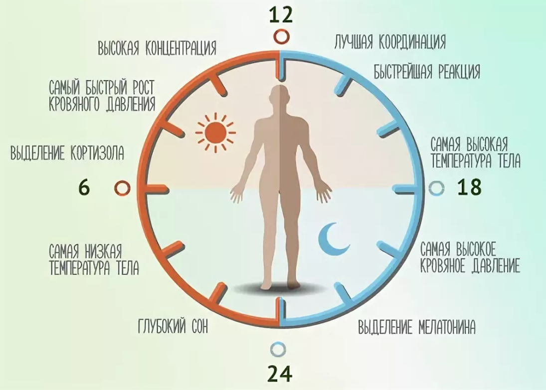 Состояние организма при котором замедляется жизненные процессы