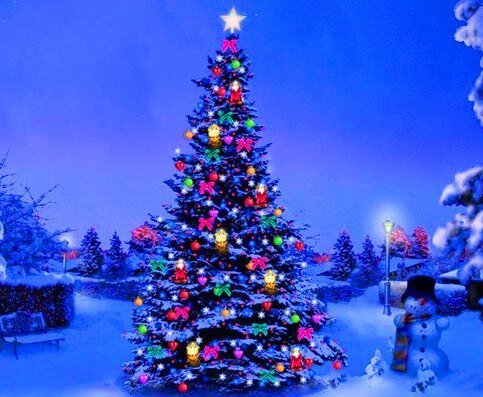 Например, если вы любите шахматы, оберните фигурки блестящей бумагой и развесьте их на своей уличной елочке. Очень хорошо смотрятся на такой елке конфеты в блестящих фантиках, детские игрушки. Подойдут для этих целей и клубочки ниток, фигурки, вырезанные из бутылок, и по-новогоднему раскрашенные, в общем, все что шуршит, блестит, переливается. Бусы можно сделать из ягод калины или рябины. Очень интересно будут смотреться на уличной новогодней елке – ледяные игрушки.