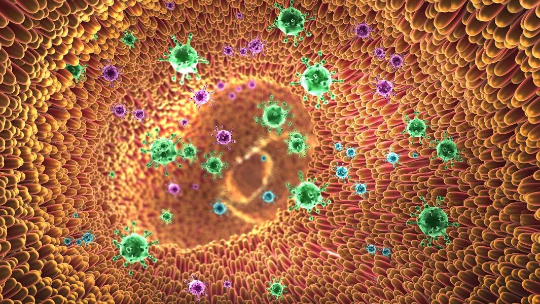 Данные исследований позволят модифицировать найденные бактерии и использовать их для уменьшения зависимости от спиртного. Фото: Depositphotos