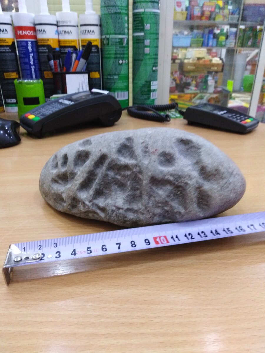 Фото прислали лично мне.