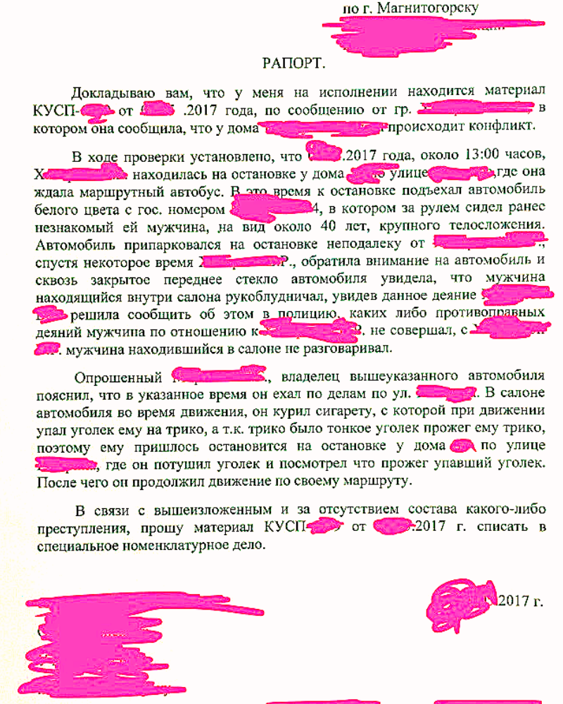 ТОП-10 самых угарных рапортов полицеских, которые поднимут вам настроение  на целый день | Ушлый опер | Дзен