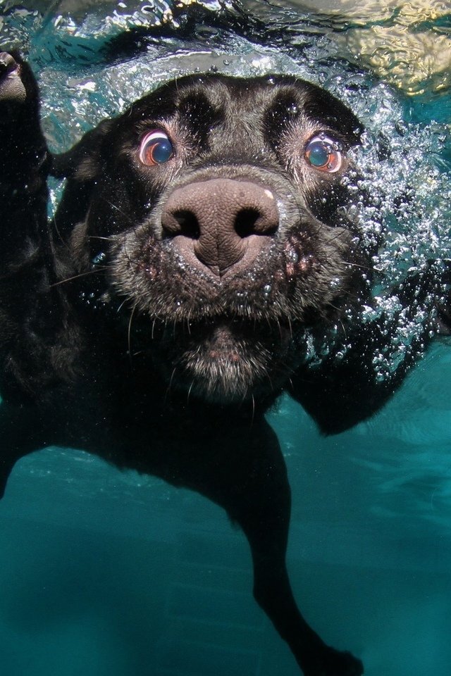 Он такой милый