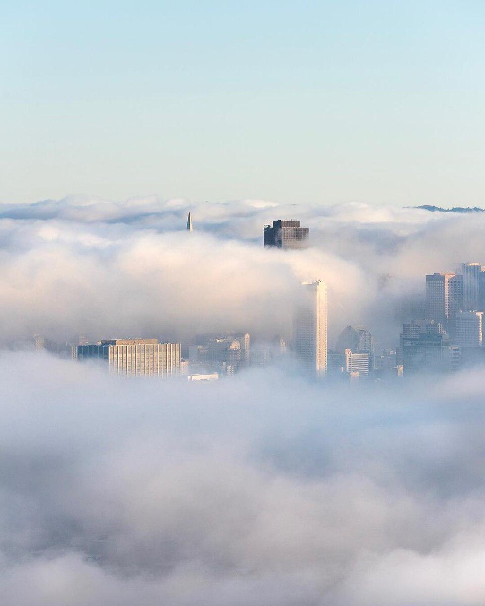 Фото by Michael Victor • San Francisco https://www.instagram.com/p/BrRj1qwFkqv/ 