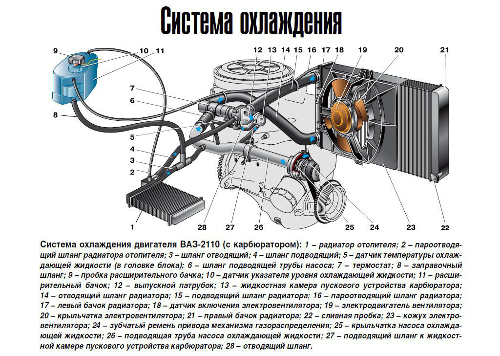 Схема циркуляции ож