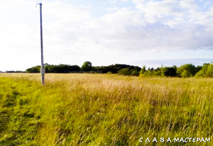 Фото местности рядом с моим участком