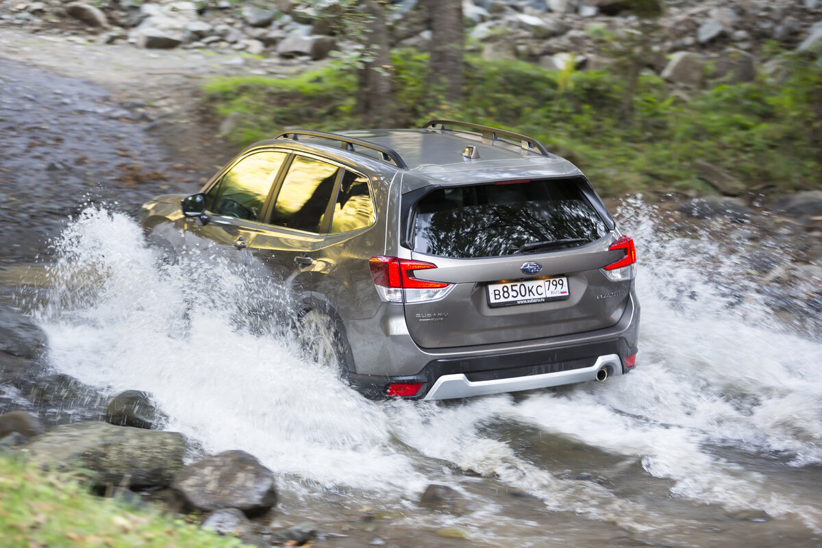 Subaru Forester 2021 осень
