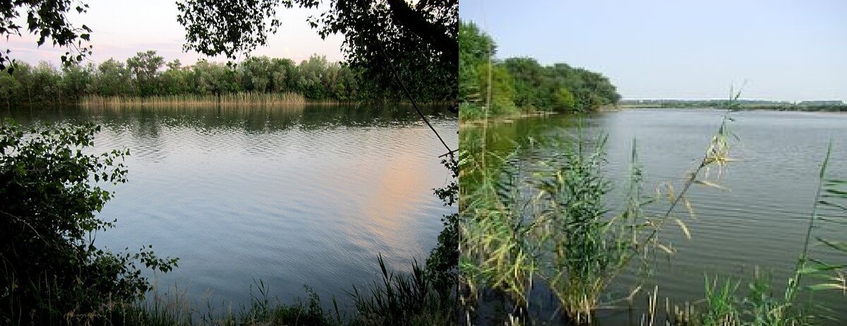 Окрестности  станицы.