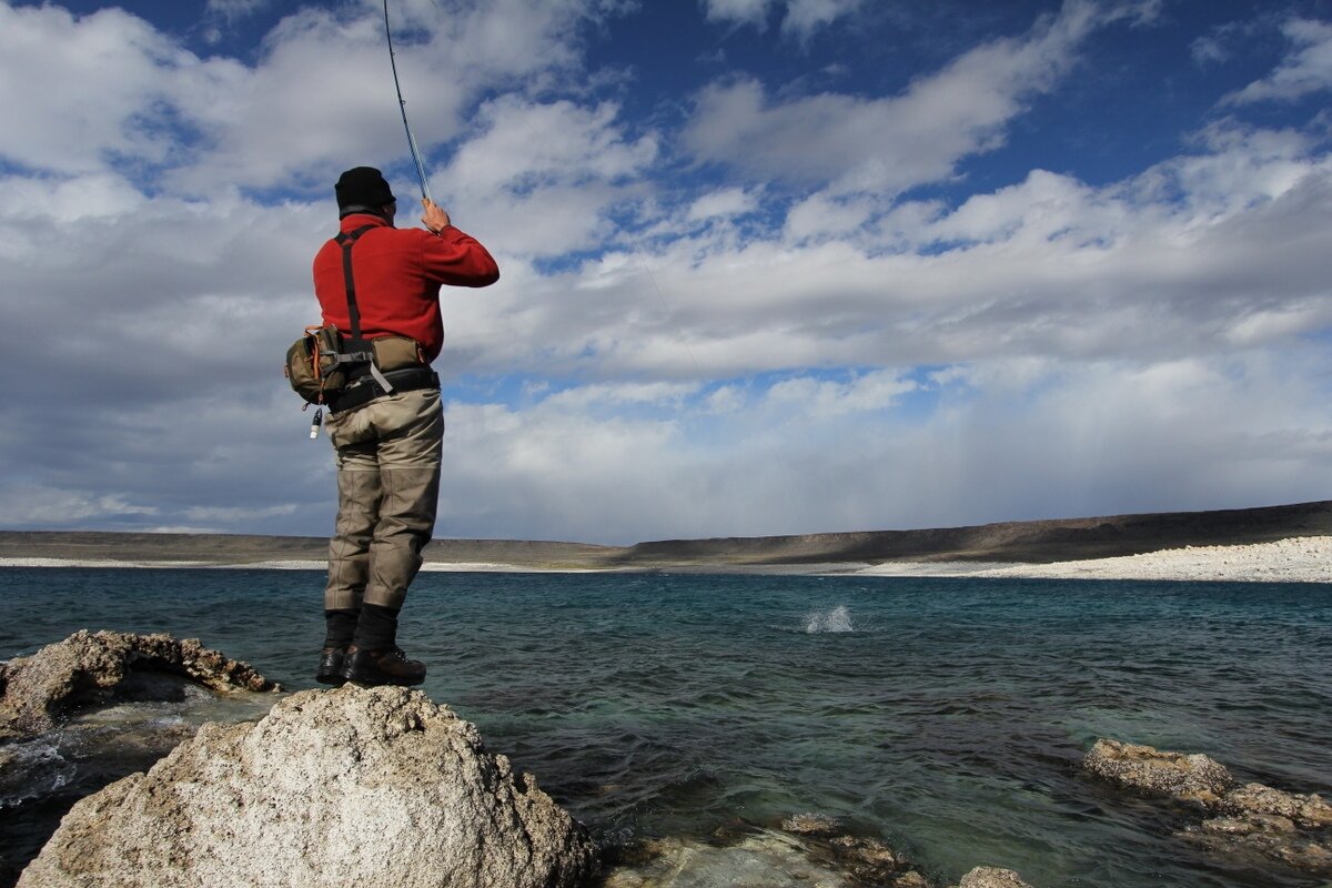 Изображение из yandex.ru