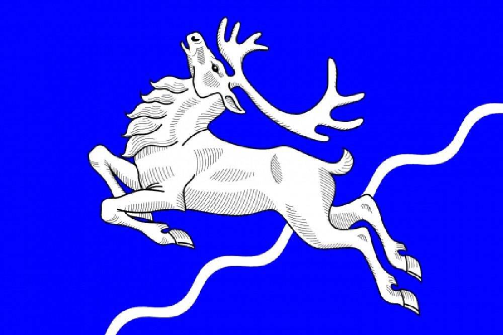  Флаг МО Северный. Фото Википедия    