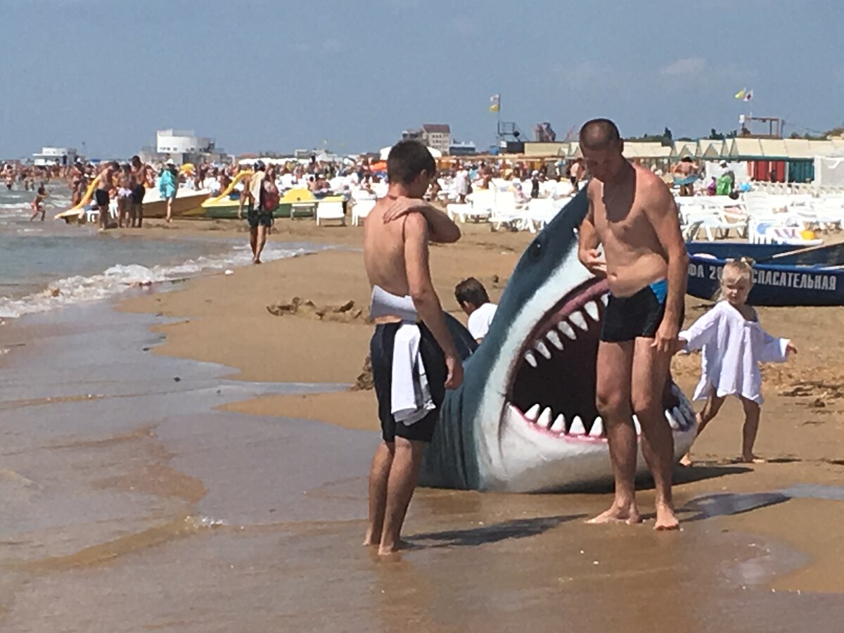 акулы в черном море водятся