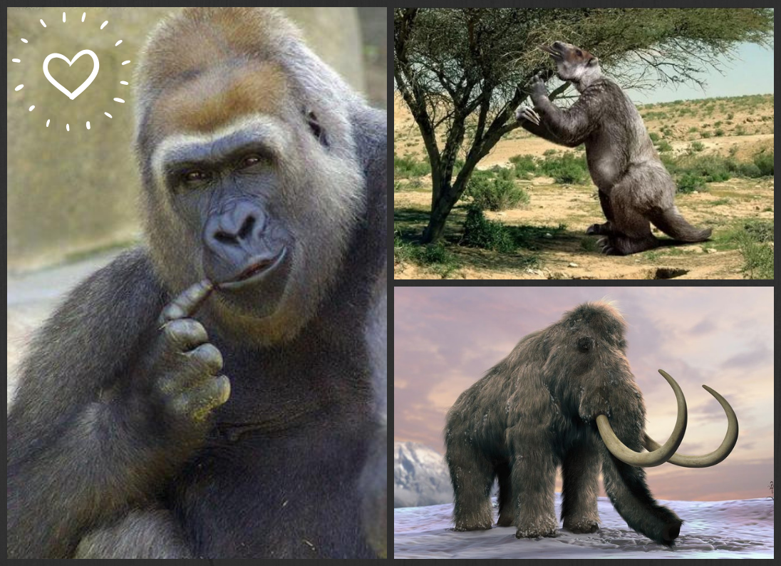 Коллаж от канала КиноТерапия.