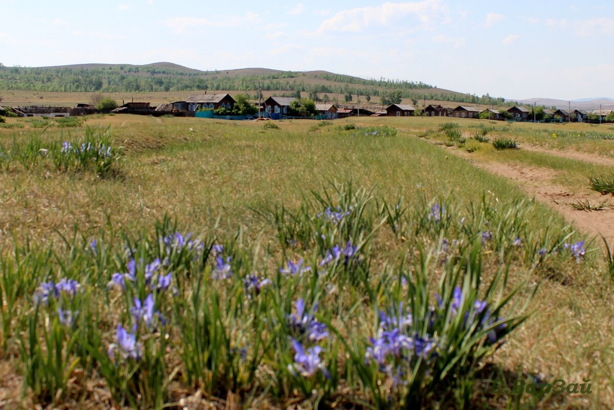 Село Шаралдай