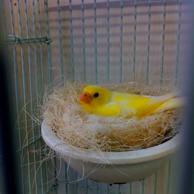 Источник фото: pinterest.com