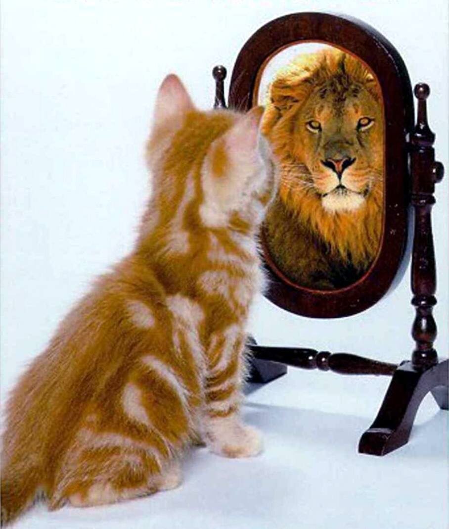 Как обрести уверенность в себе?