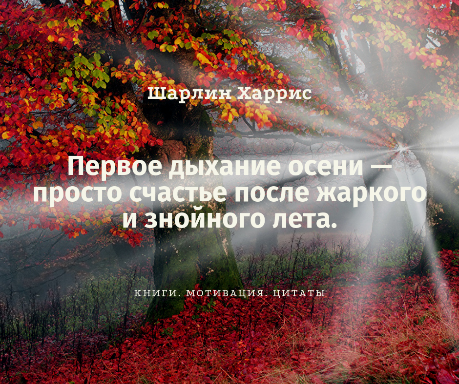 Словосочетания осенью. Красивые высказывания про осень. Афоризмы осенние. Цитата. Афоризмы про осень красивые.