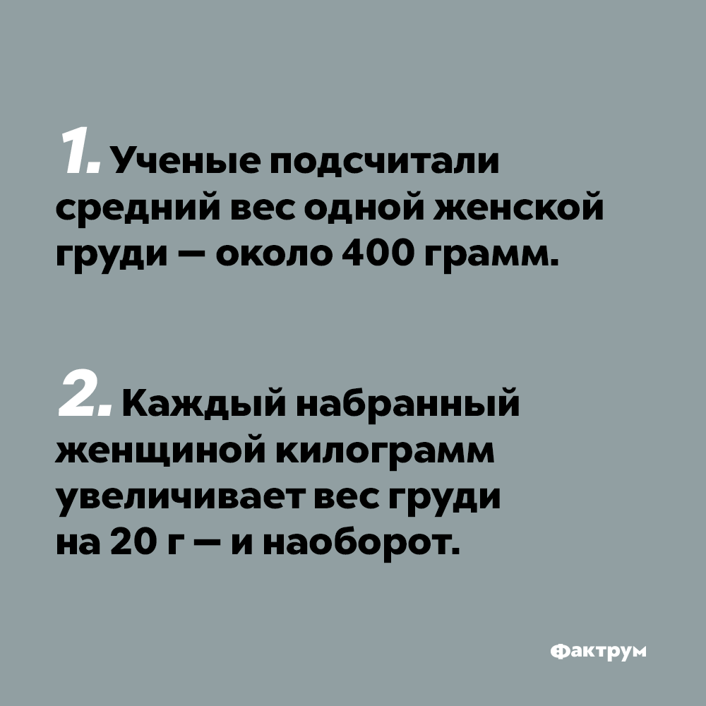 16 познавательных фактов о женской груди | Фактрум | Дзен