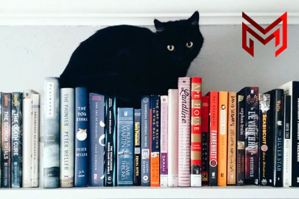 Общенациональная ассоциация, молодых музыкантов, поэтов и прозаиков