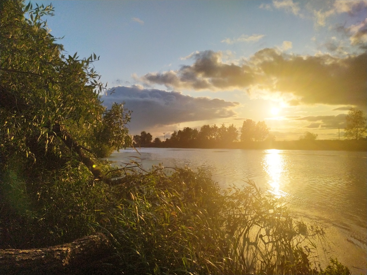 Интересно, что снимки в PRO режиме добавить сюда нельзя, но визуально они ничем не отличаются. Я хотел сделать сравнение фотографий, но не получилось. 