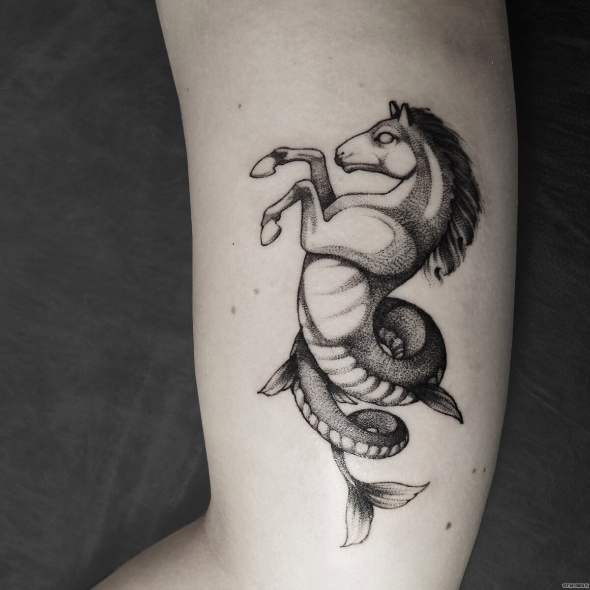 Татуировки животных: значение, фото, эскизы