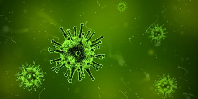https://pixabay.com/get/57e8d4414a5bae14f1dc8460825668204022dfe05450704e772673dc/virus-1812092_640.jpg