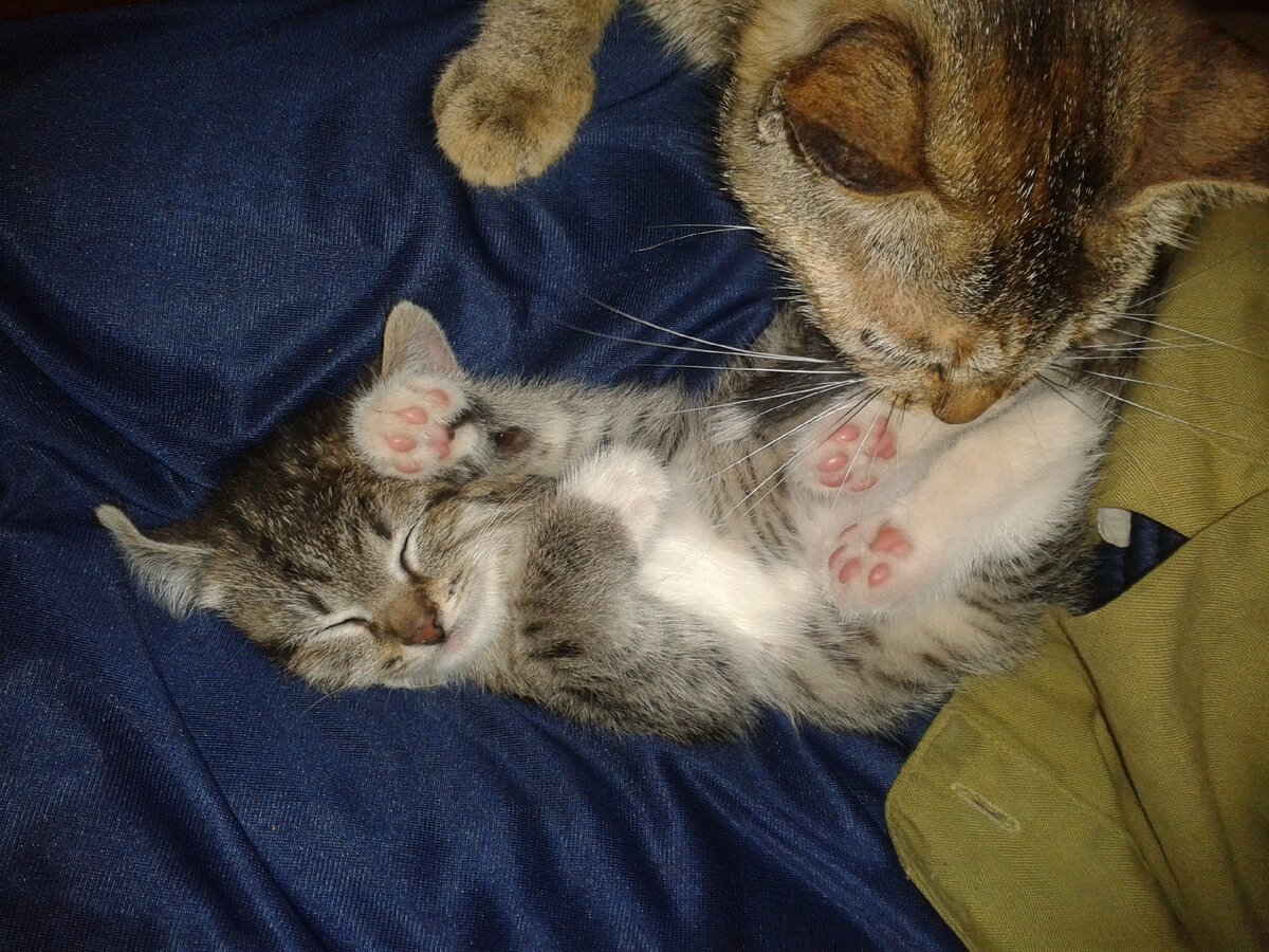 Фото автора 