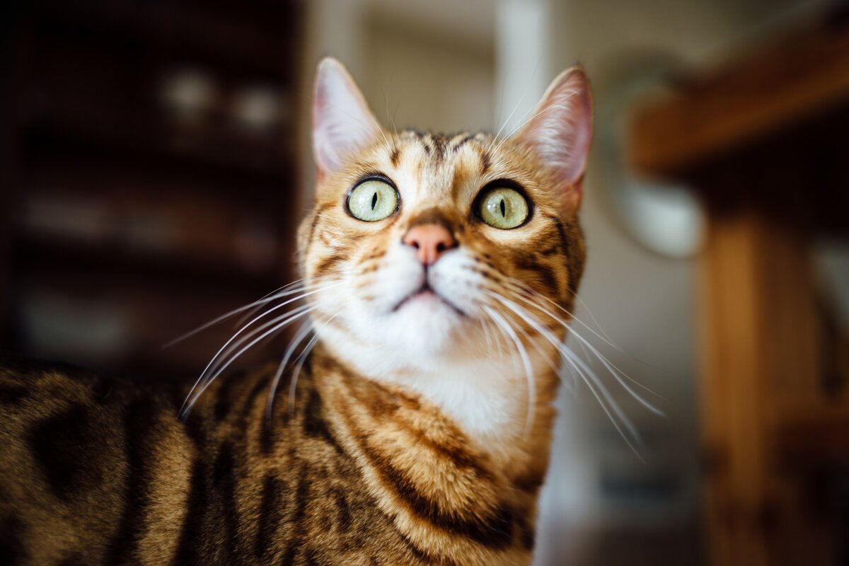 Photo by Paul Hanaoka on Unsplash