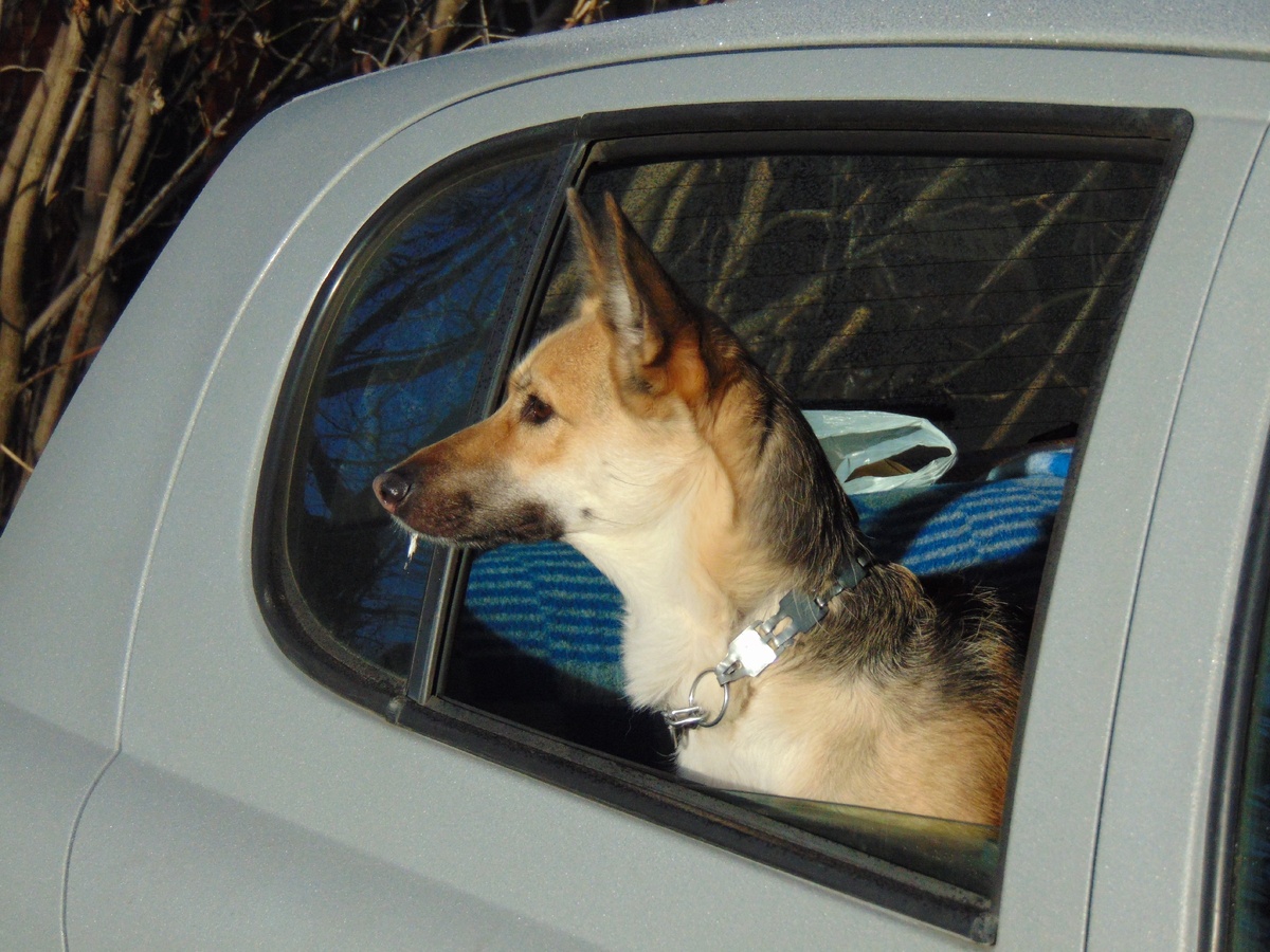 Куба не своём месте. Фото из личного архива.