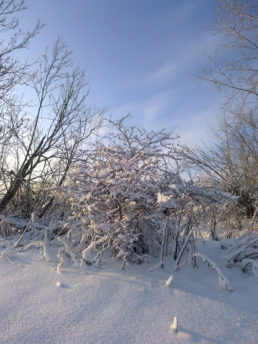 "Мороз и солнце, день чудесный.."