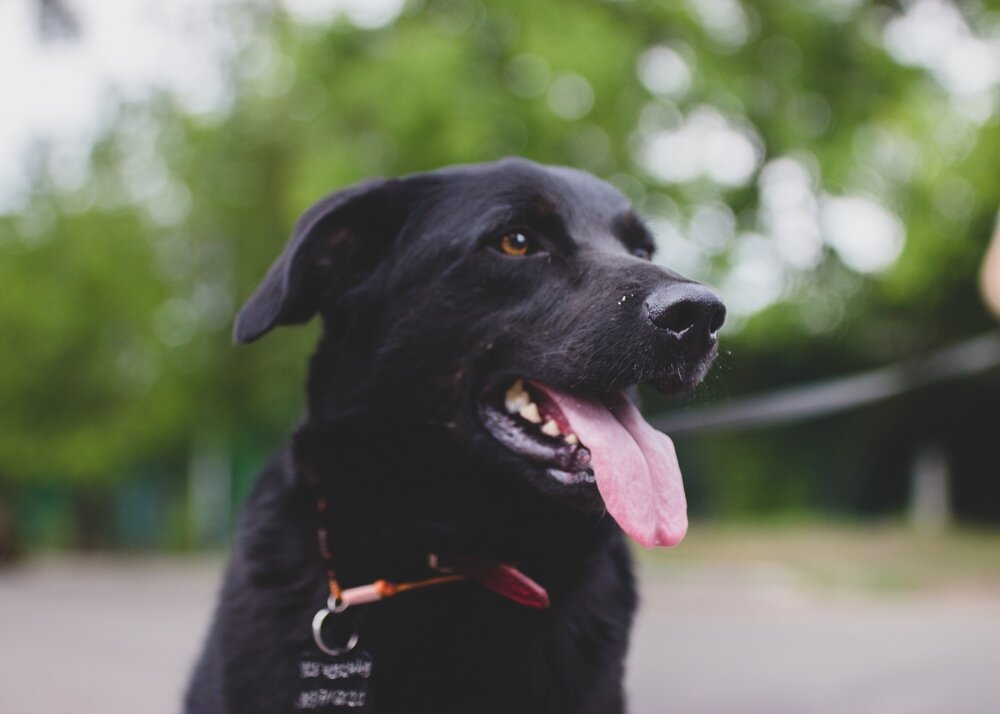 Уже большой мальчик