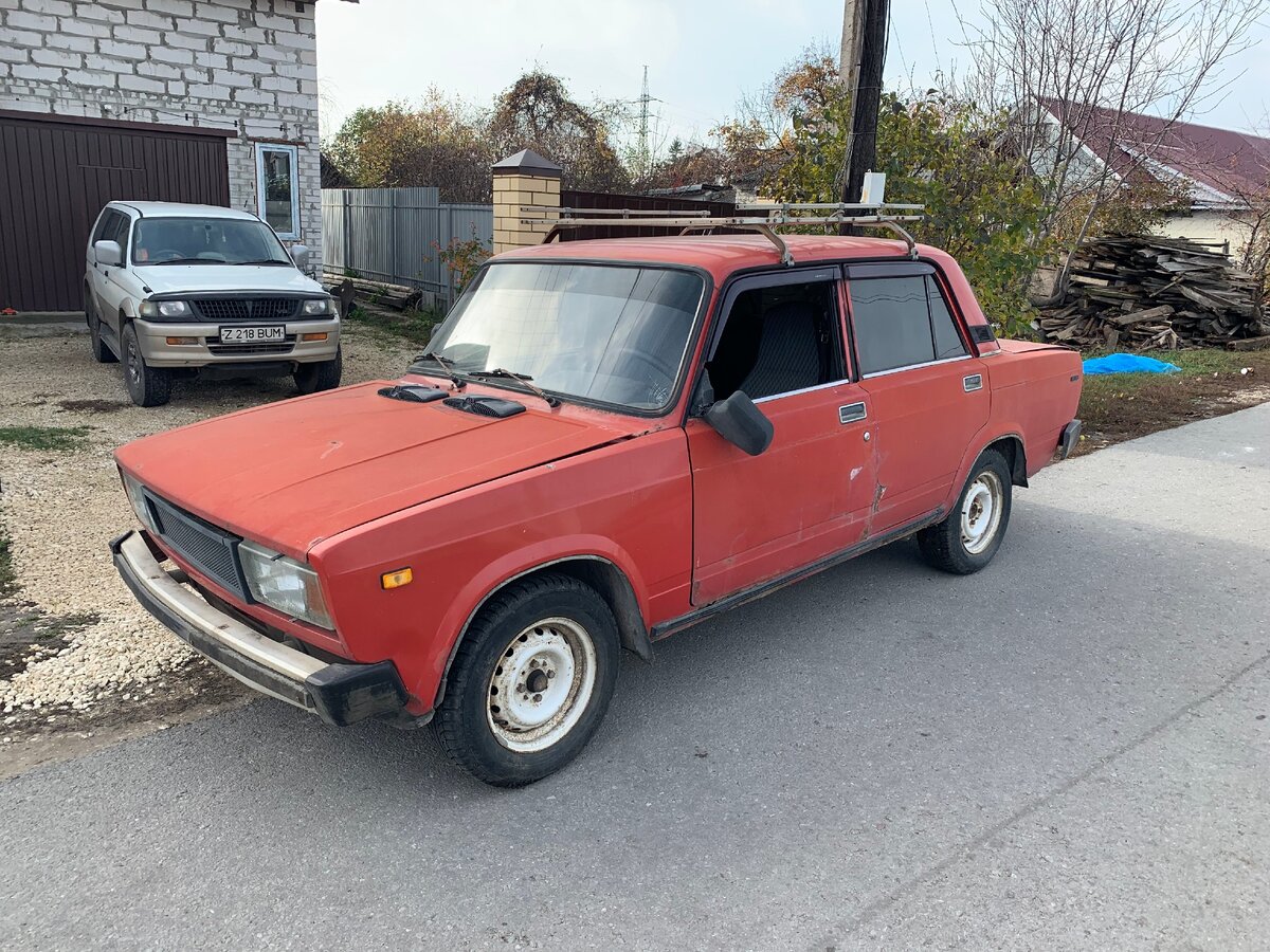 Зверюга, внезапно обретшая популярность 