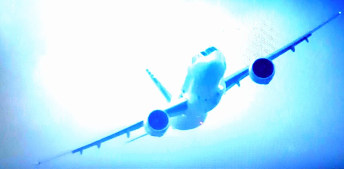 Фотография взята из открытых источников