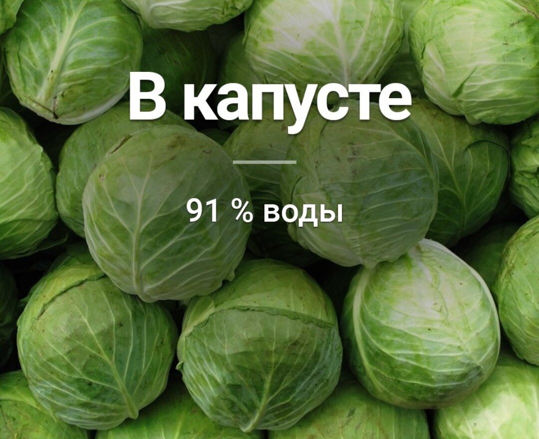 Если есть копусту то можно и не пить😄