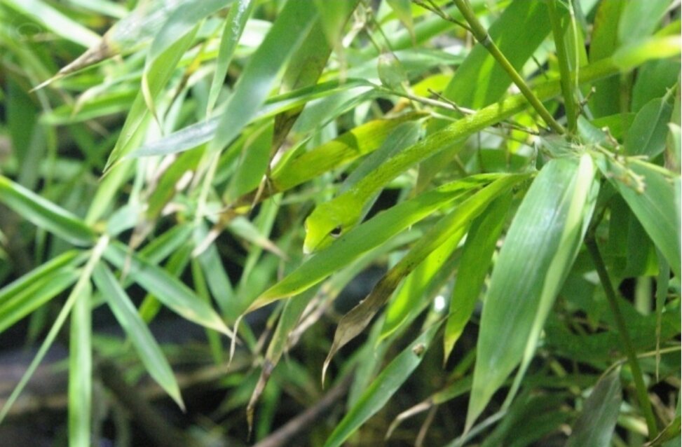 Фото взято из яндекс картинки