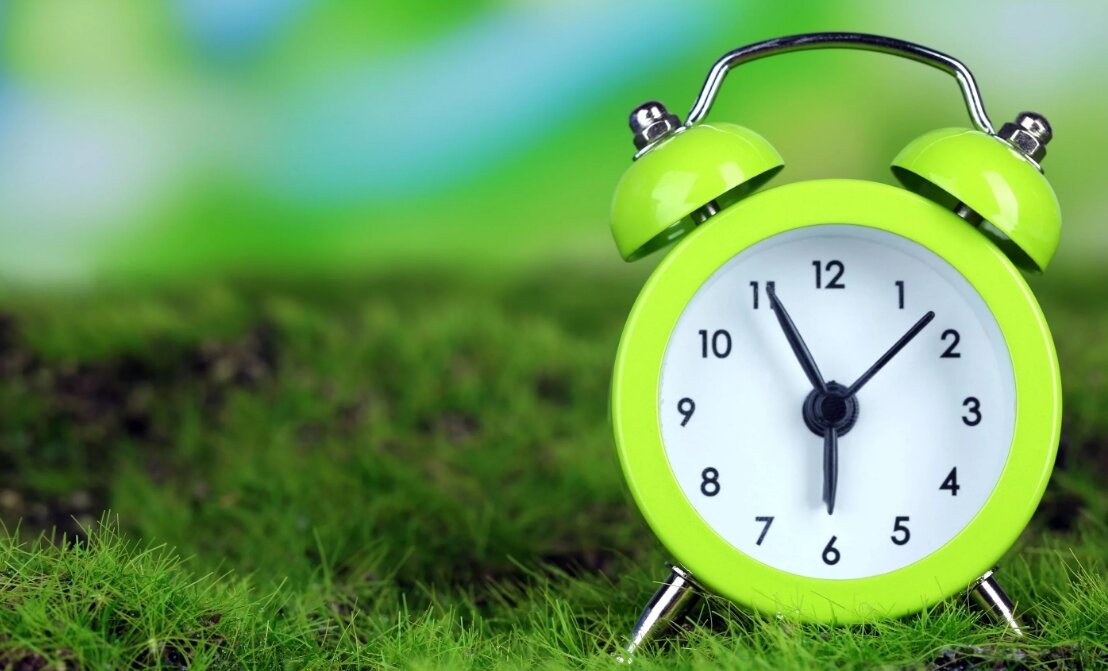 фото из открытого доступа