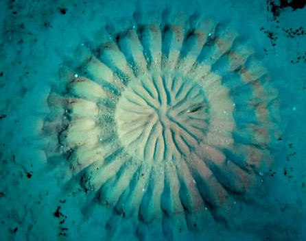 Очень красиво, я бы не поверил, что это возможно....