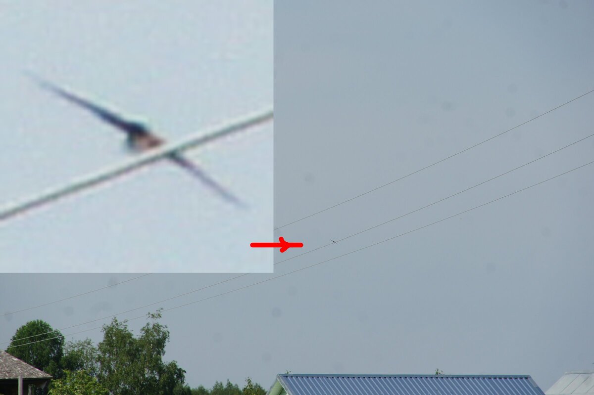 Завидовский заповедник 31.05.2013