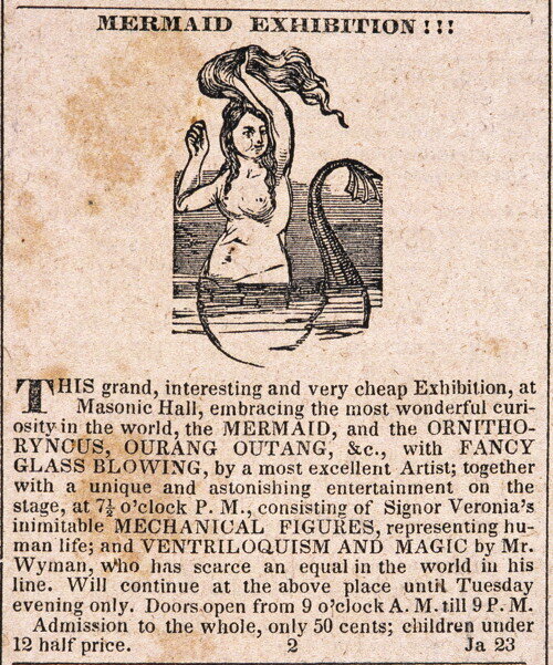 Реклама Русалки Фиджи, январь 1843 г.