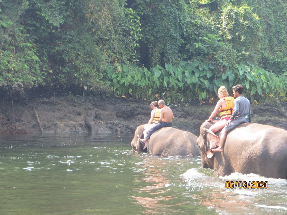 Купание на слонах (не смотрите дату, не правильно поставлена).