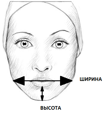 ЧЕЛЮСТЬ