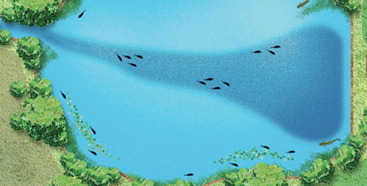 Источник -https://yandex.ru/images