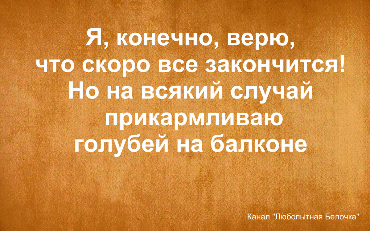 Товарищи! Спокойствие, только спокойствие! Юморная подборка | Любопытная  Белочка | Дзен