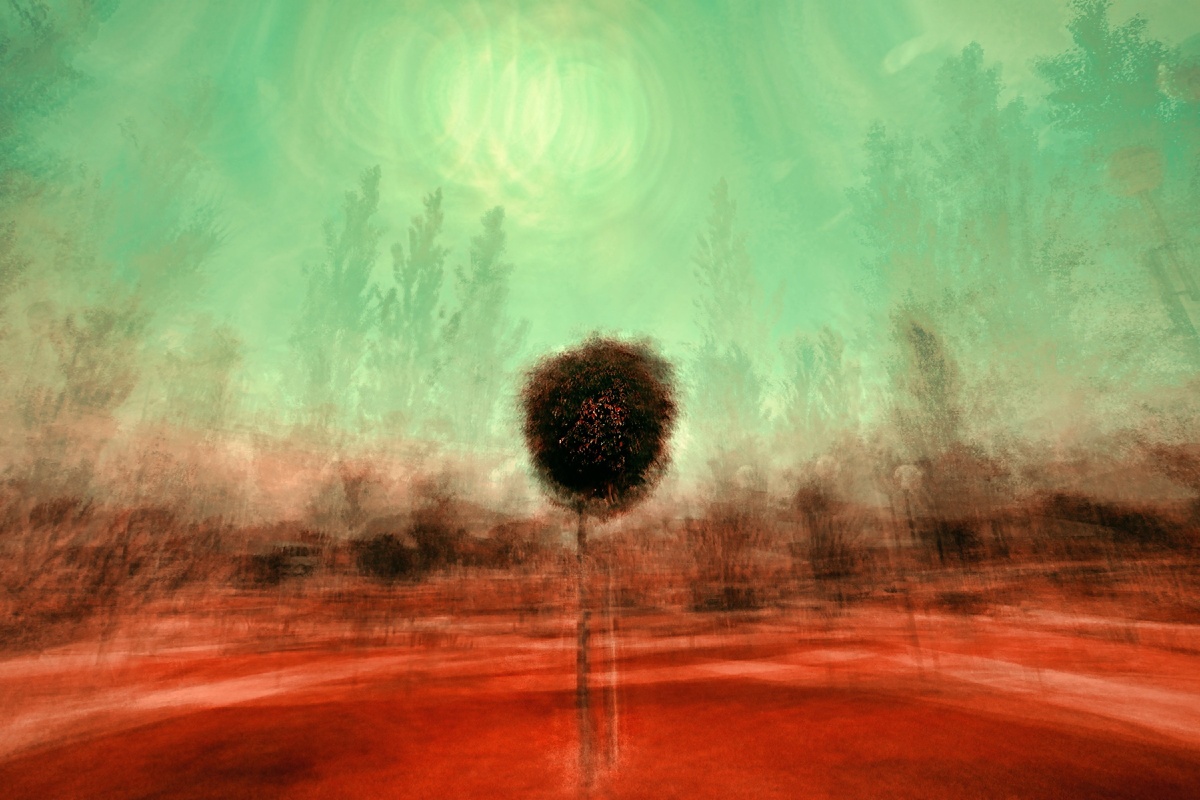 Photo by Jr Korpa on Unsplash