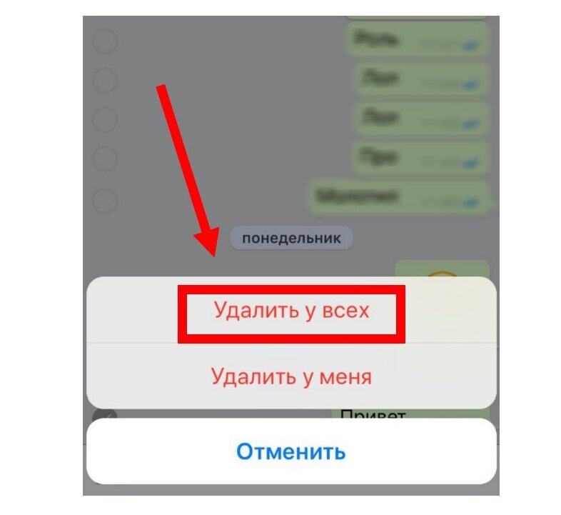 Как удалить сообщение в ватсап навсегда. Удалить у всех в ватсапе. как удалить сообщение в ватсапе у всех. какмудалить фото в вотсапе у всех. как удалить фото в вотмапе у всех.