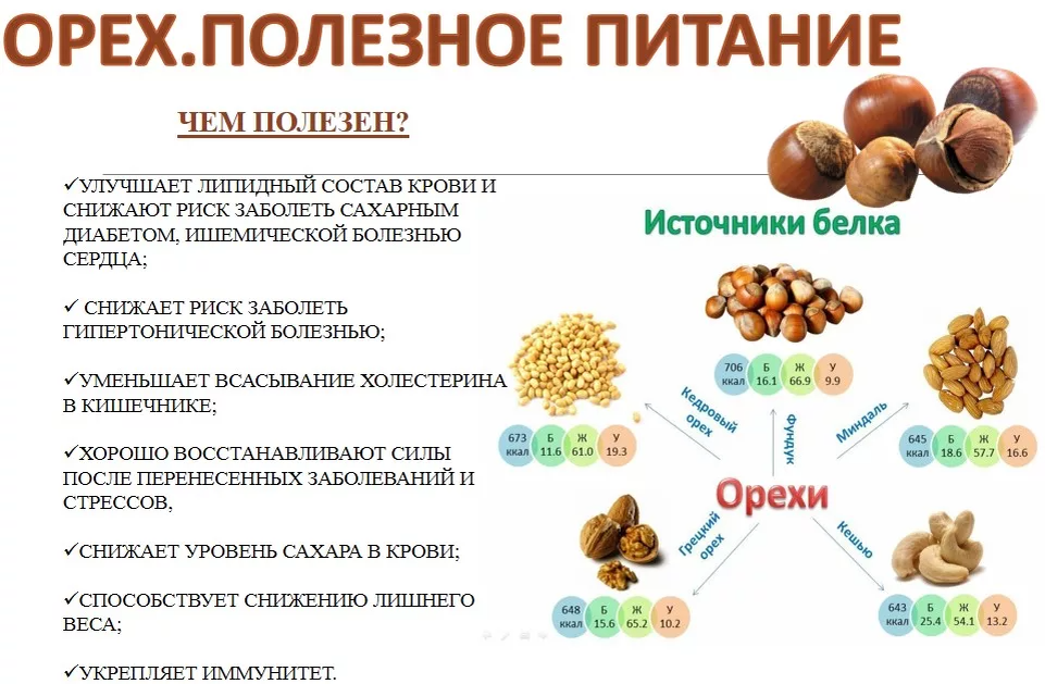 Пользу орехов невозможно переоценить - лишь недооценить. Подпишитесь