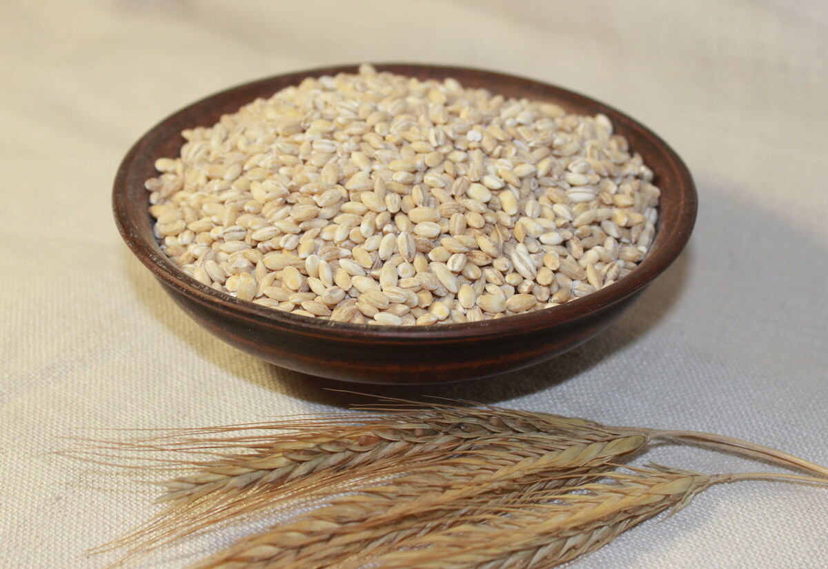 Пользу перловки для организма сложно переоценить. А стоит она дешевле риса и гречки.